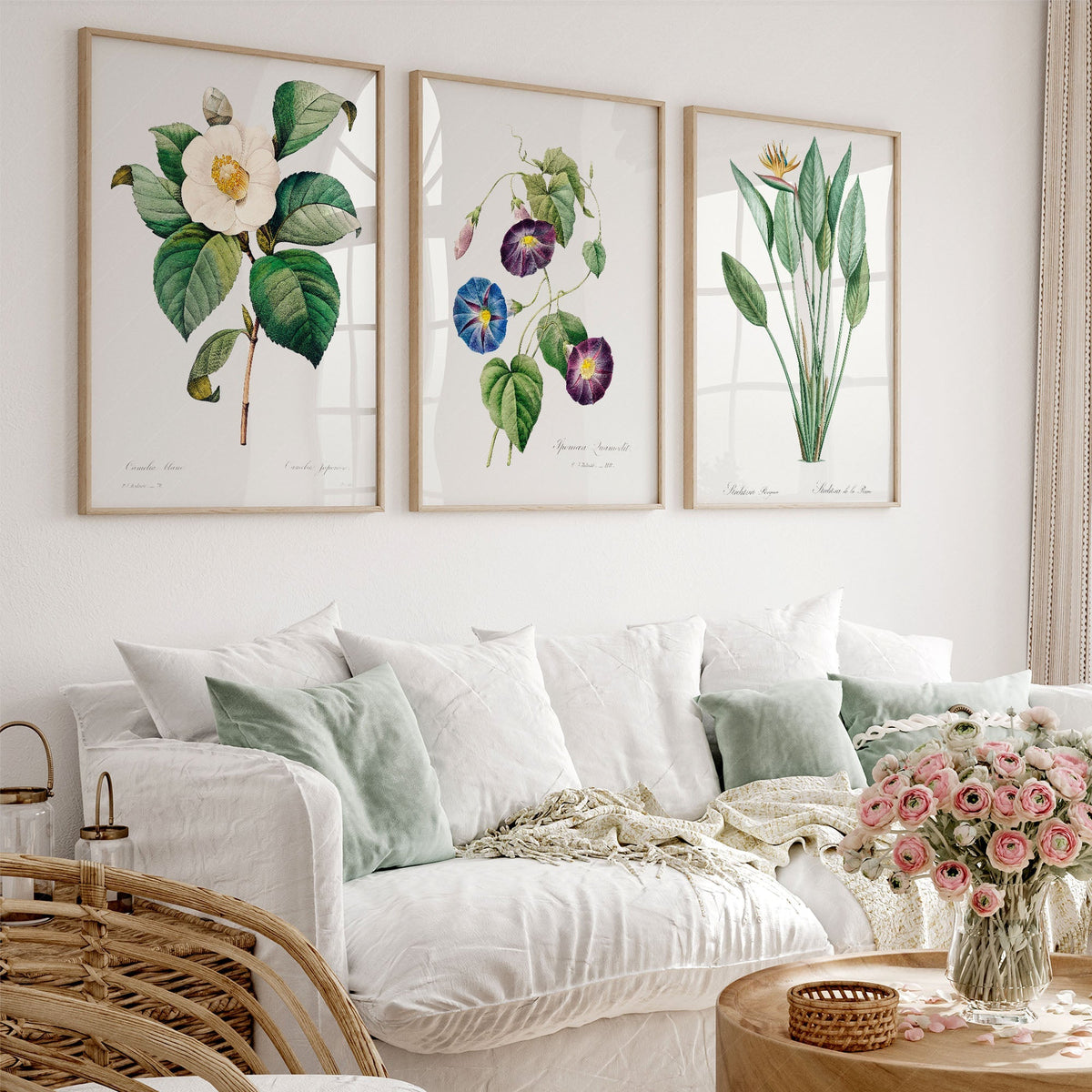 Botanical Gallery Wall Art Set of 3 Prints – Vintage Flower Art Posters 04