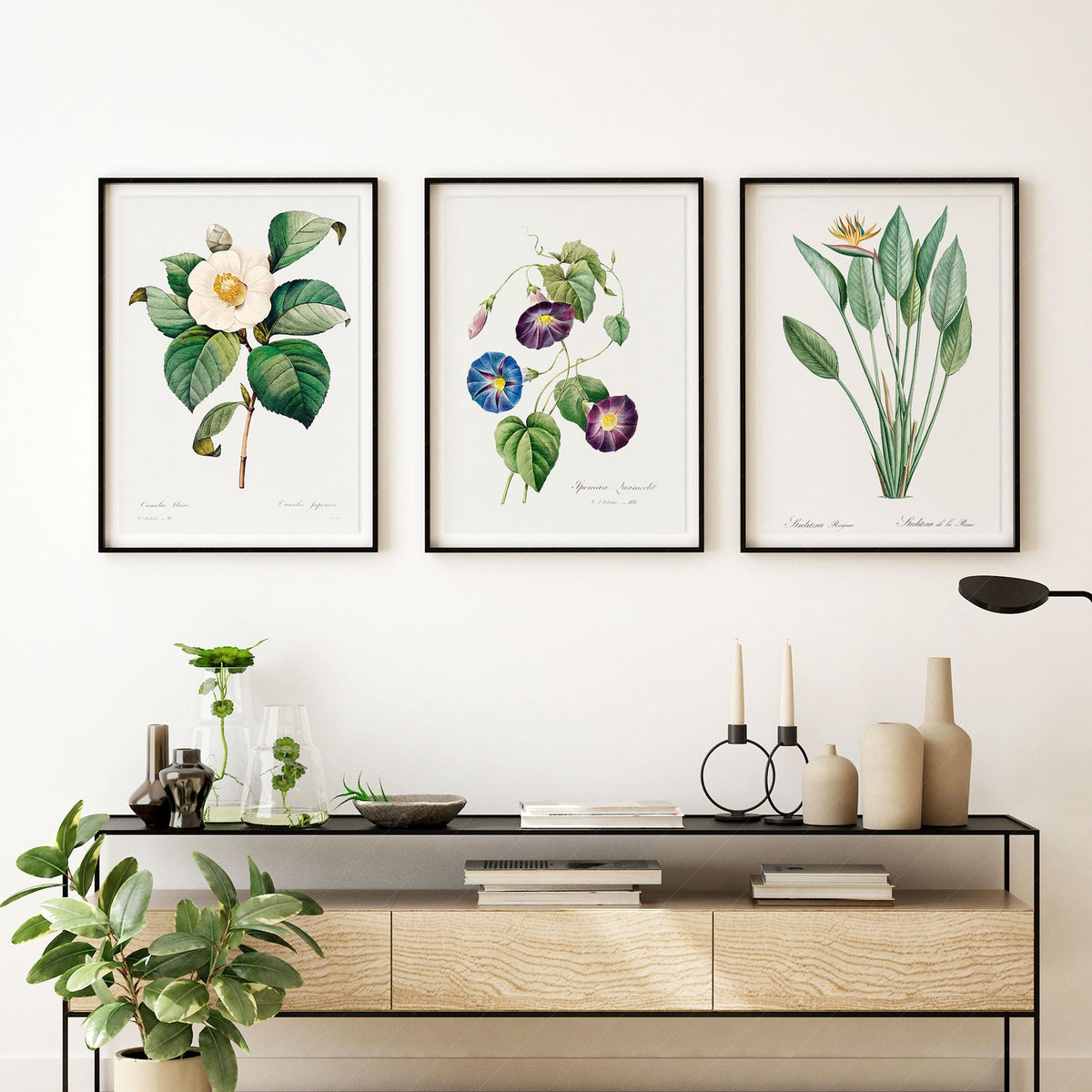 Botanical Gallery Wall Art Set of 3 Prints – Vintage Flower Art Posters 04