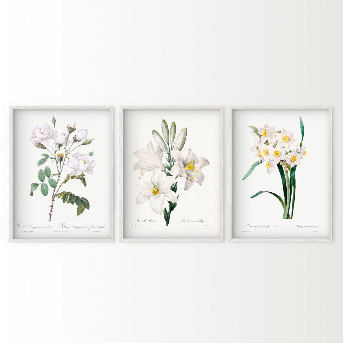 Botanical Gallery Wall Art Set of 3 – Vintage White Flower Prints 05