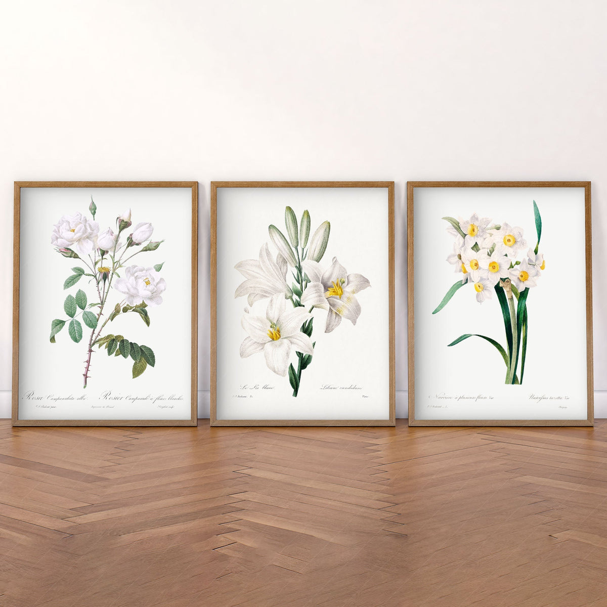 Botanical Gallery Wall Art Set of 3 – Vintage White Flower Prints 05