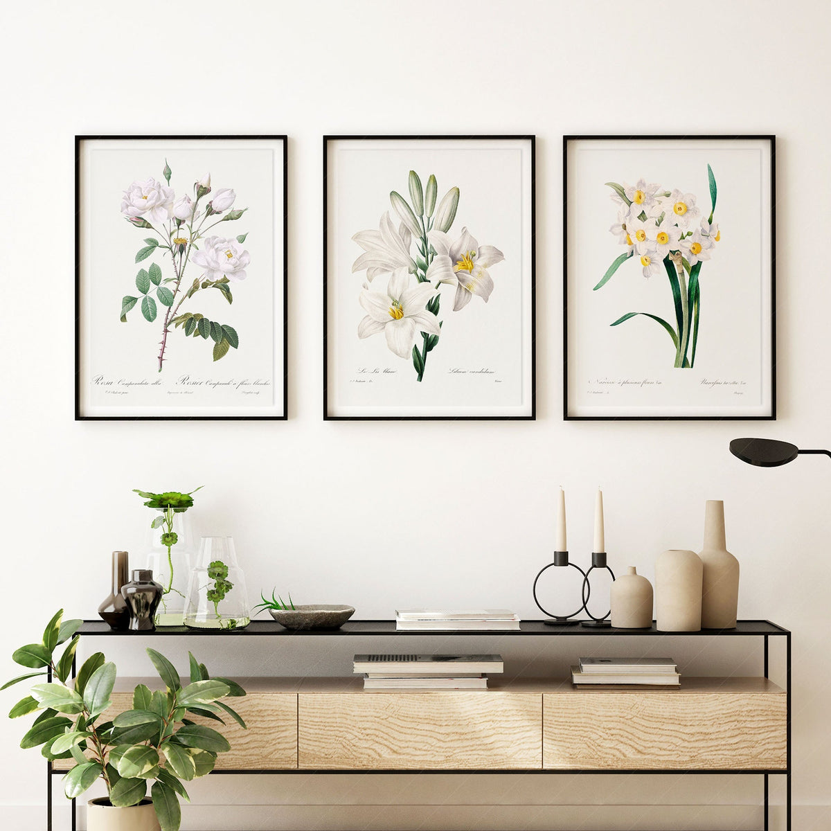 Botanical Gallery Wall Art Set of 3 – Vintage White Flower Prints 05