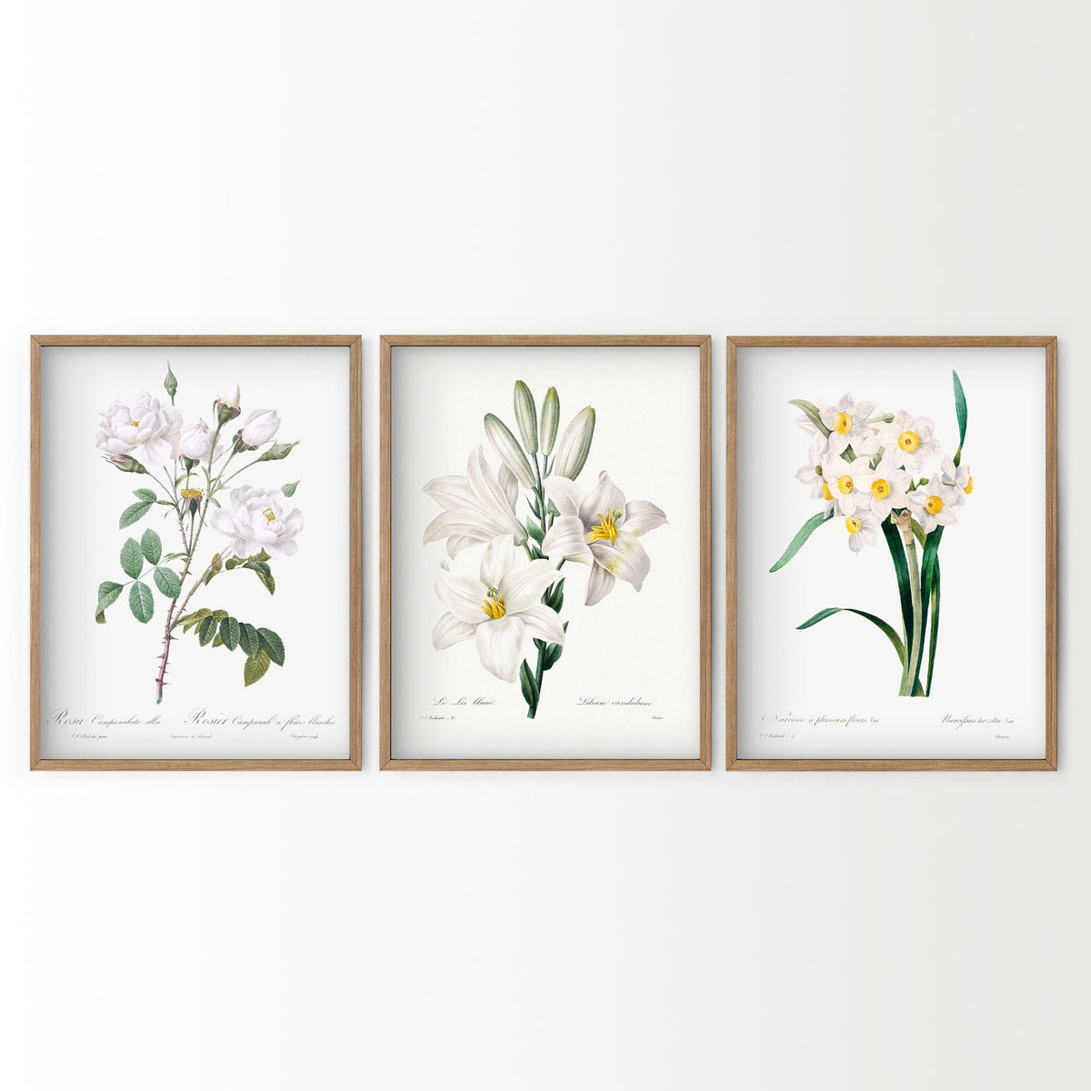 Botanical Gallery Wall Art Set of 3 – Vintage White Flower Prints 05