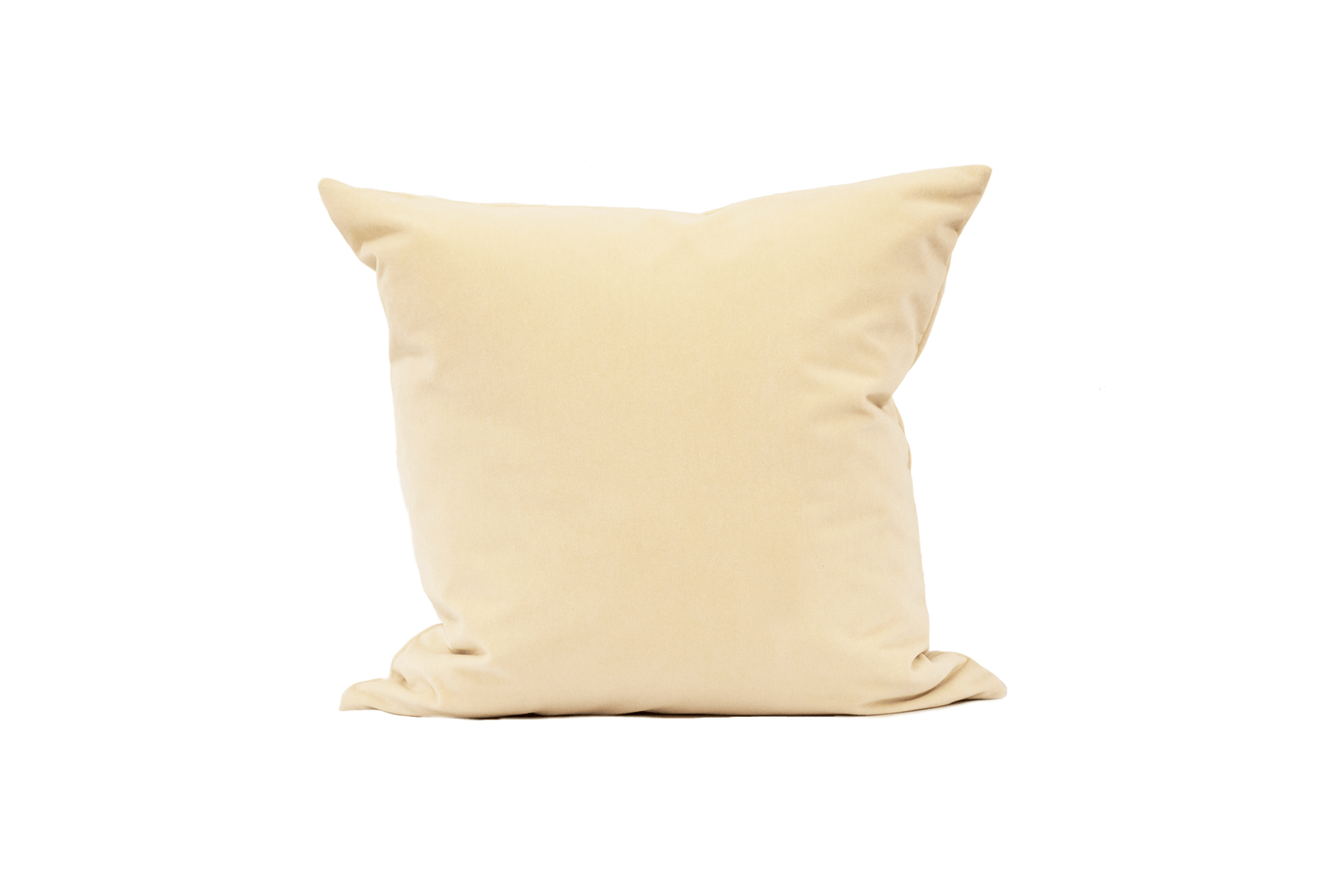Brie Velvet Cushion Cover