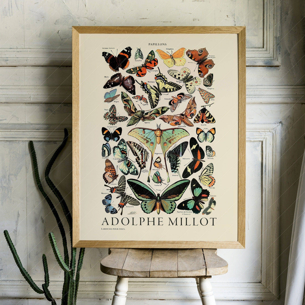 Adolphe Millot Papillons Butterflies Print – Vintage Natural History Poster