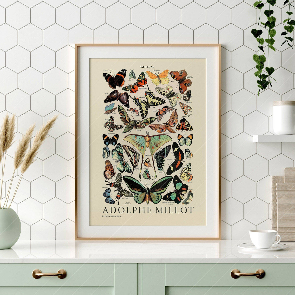 Adolphe Millot Papillons Butterflies Print – Vintage Natural History Poster