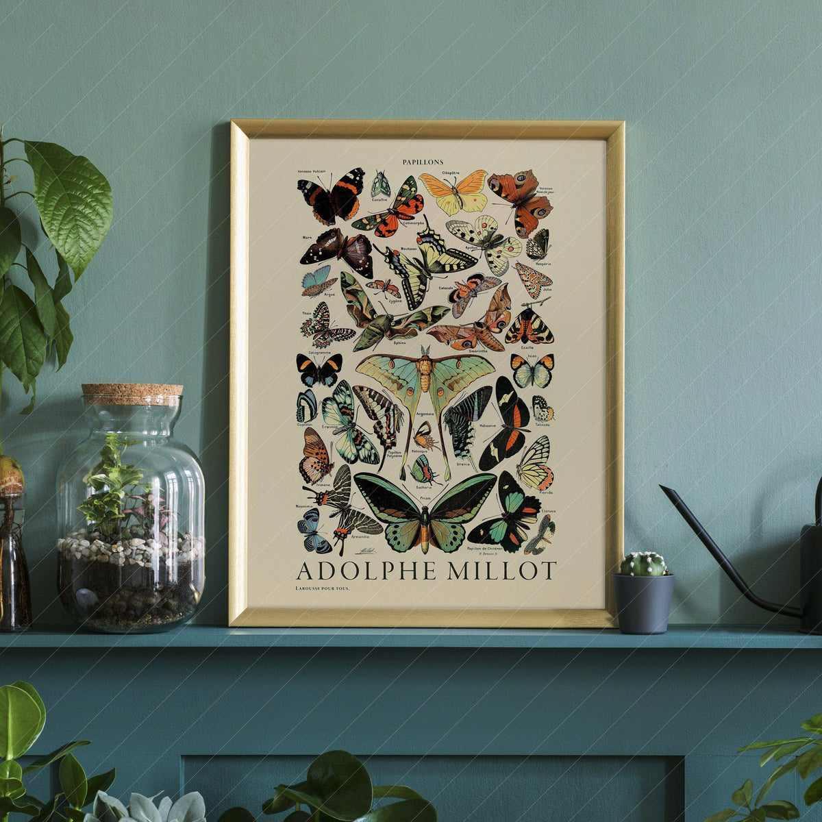 Adolphe Millot Papillons Butterflies Print – Vintage Natural History Poster