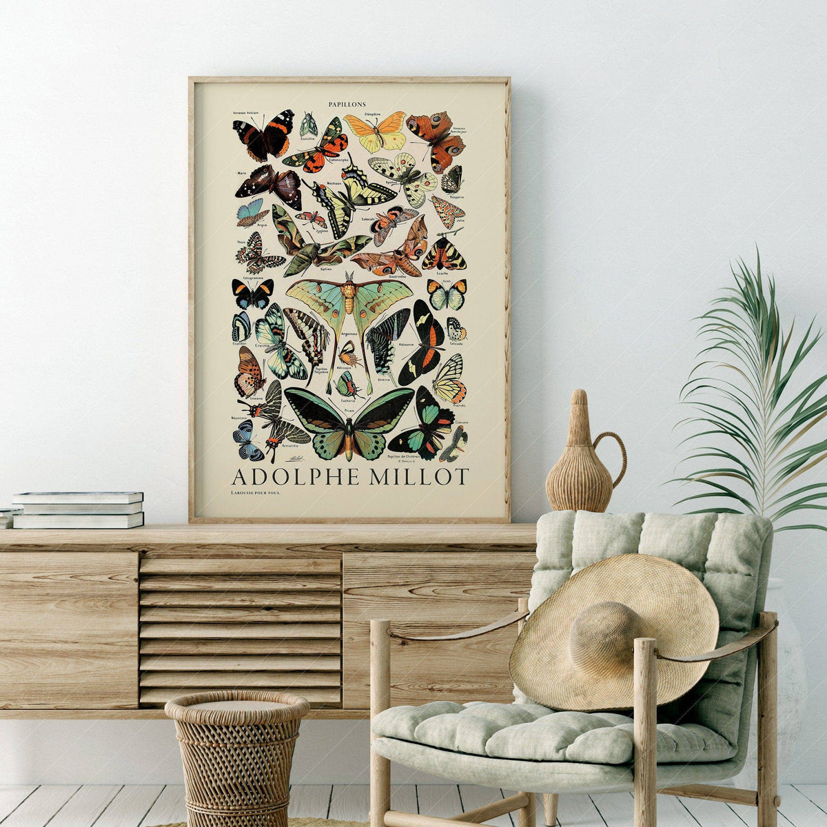 Adolphe Millot Papillons Butterflies Print – Vintage Natural History Poster
