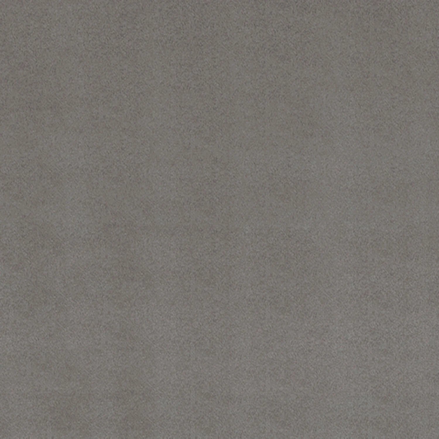 Shannon Fabrics - Cuddle - Alliage Cuddle Solid 90 po de large