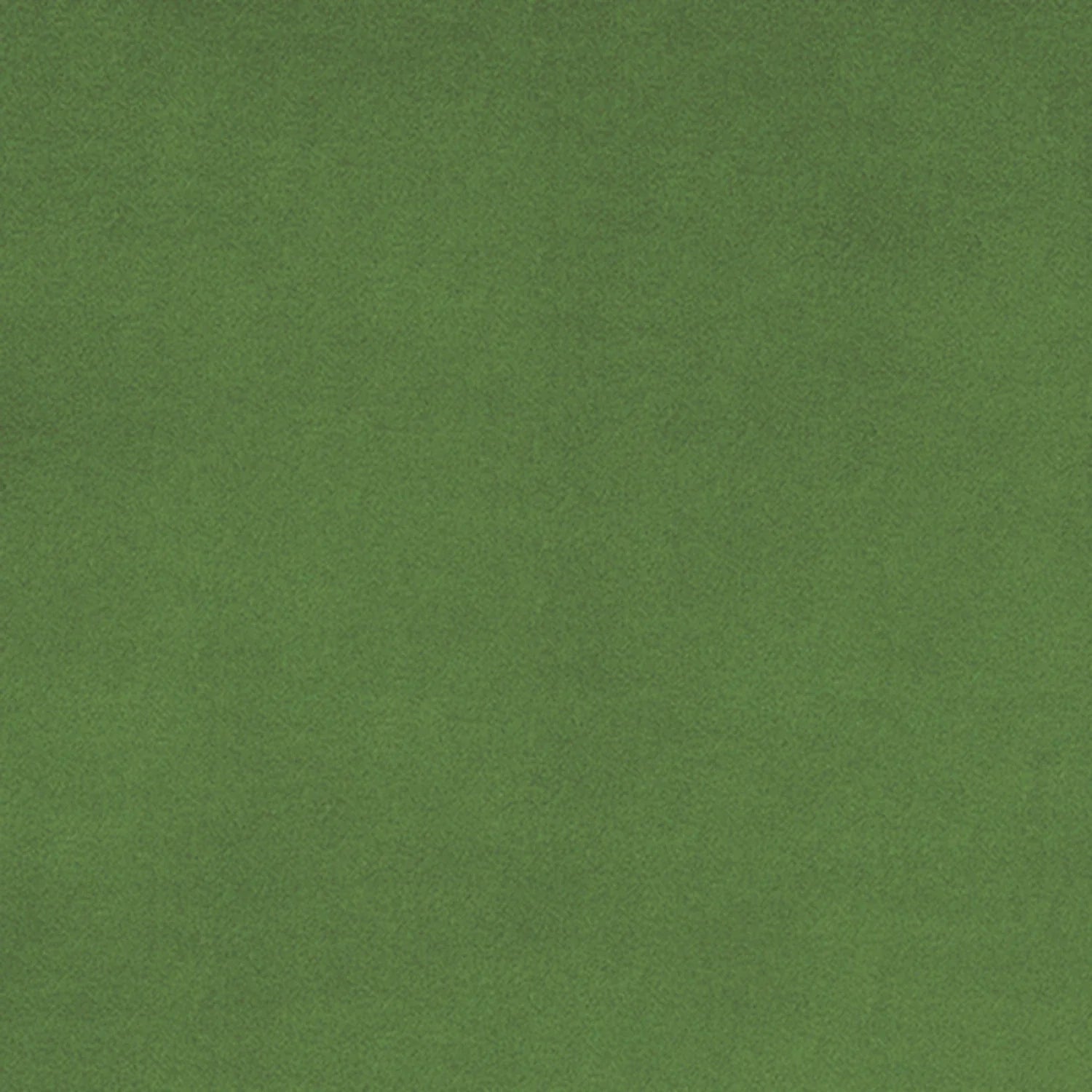 Shannon Fabrics - Cuddle - Basil Solid Cuddle 90in Wide
