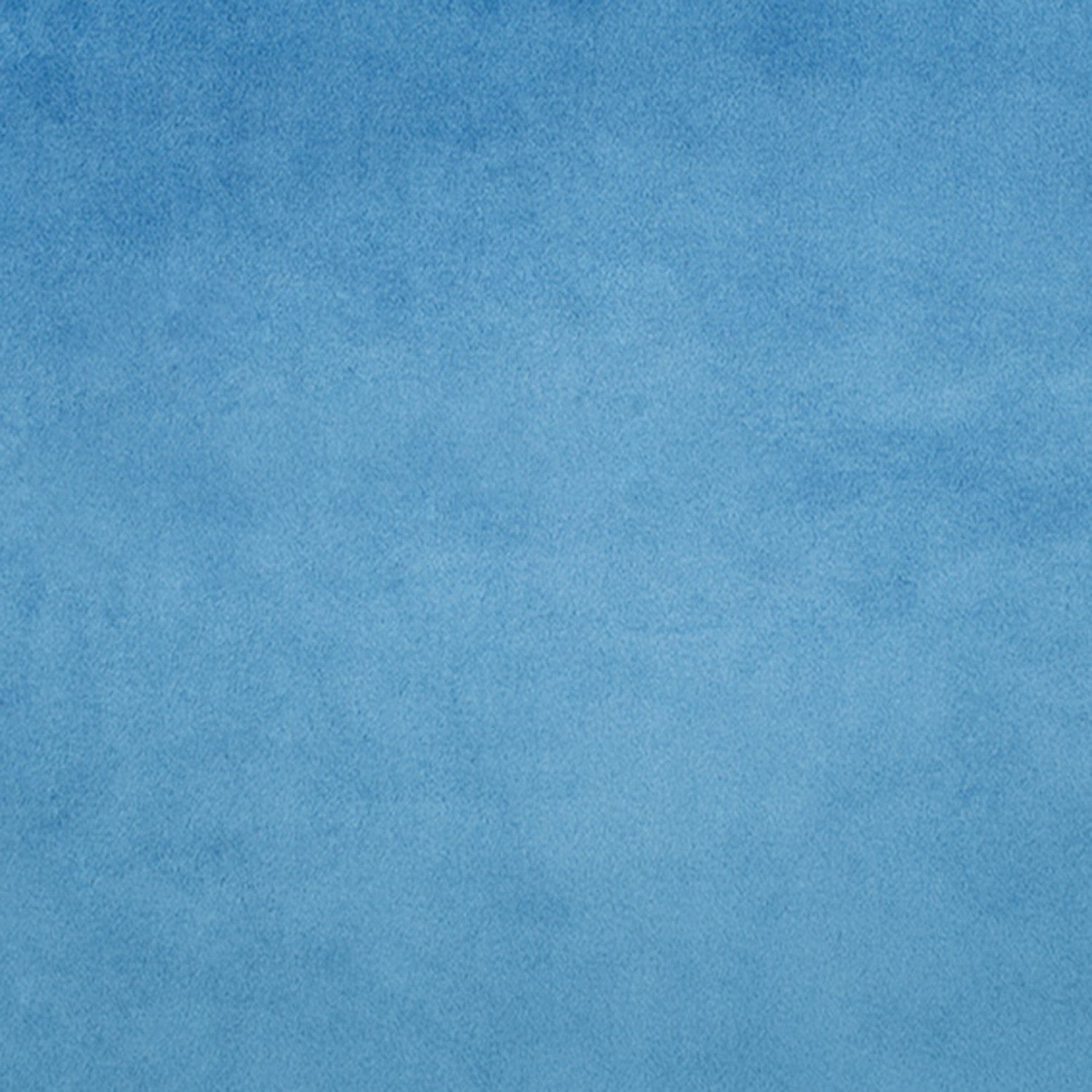 Shannon Fabrics - Cuddle - Bluebell Cuddle Solid 60 po de large