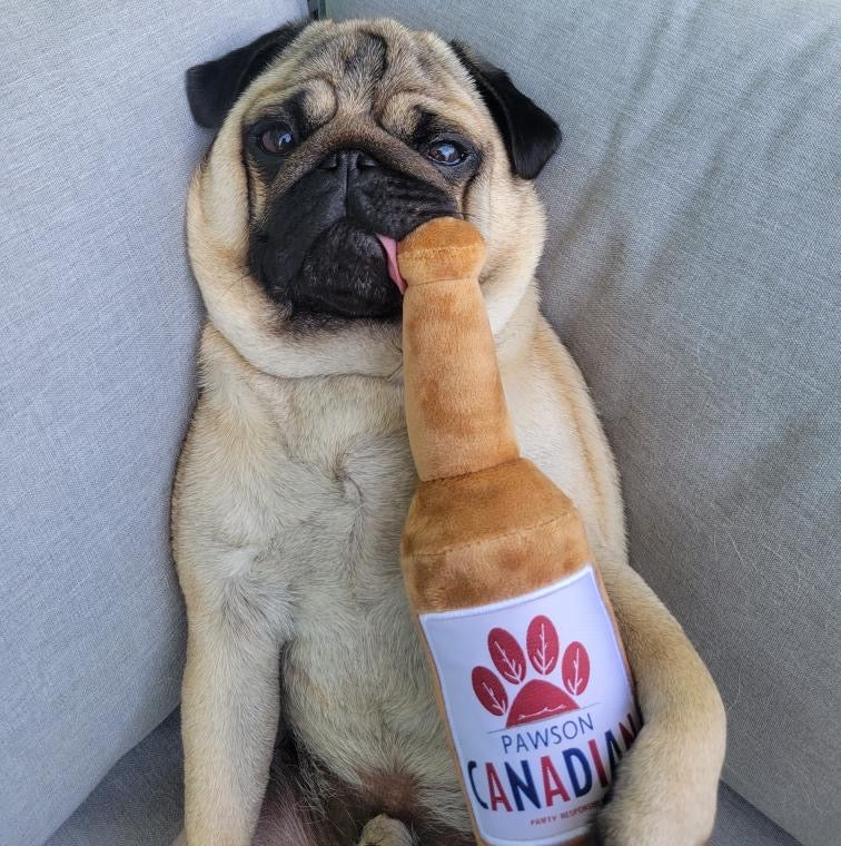 Jouet pour chien canadien Pawson
