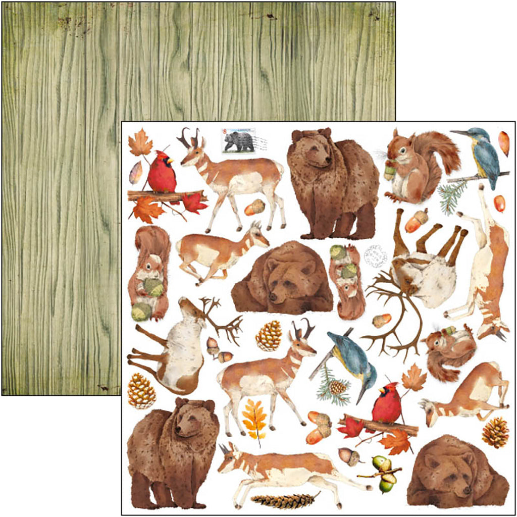 Ciao Bella Into The Wild Paper Pad 8"x8" 12/Pkg