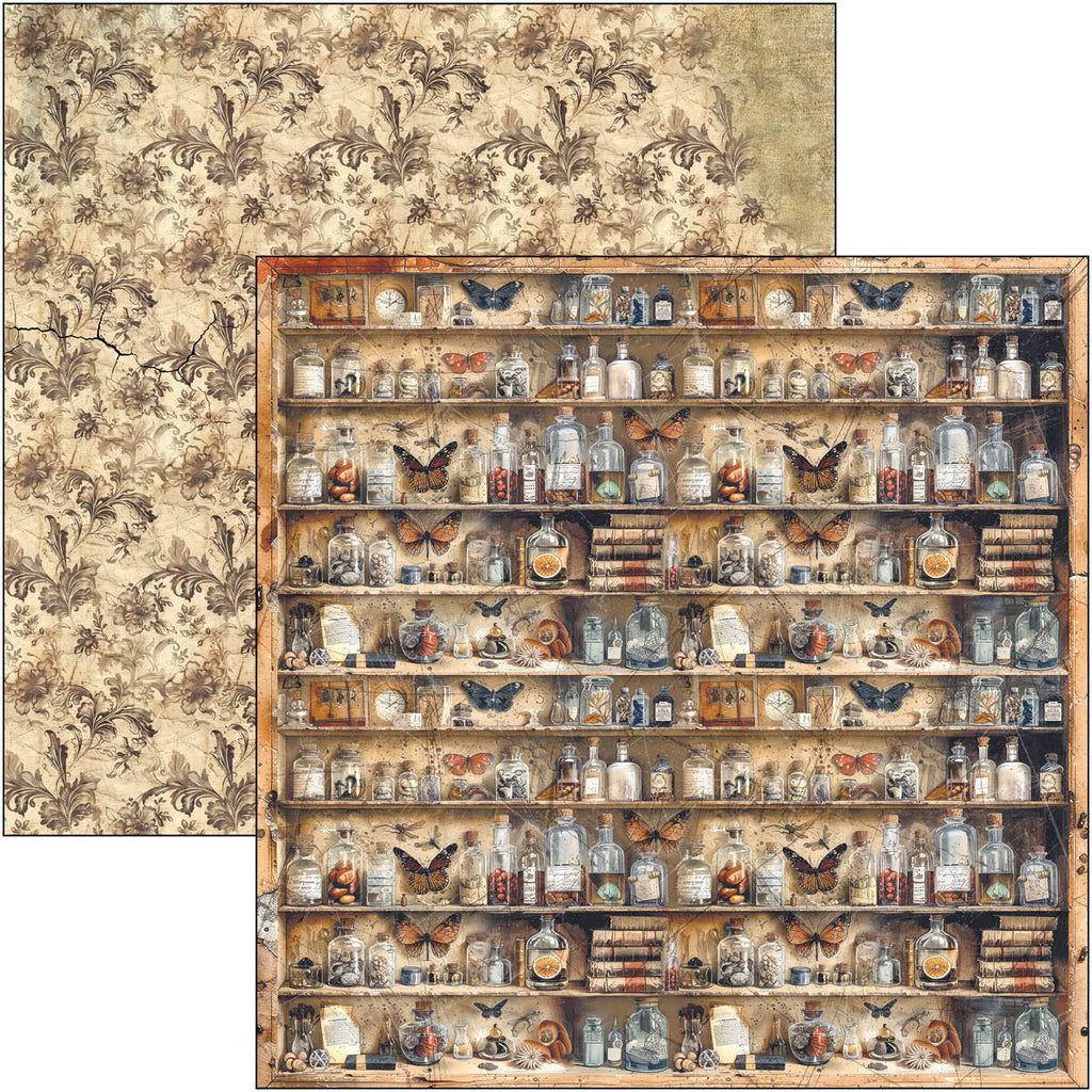 Cabinet Of Curiosities Paper Pad 12"x12" 12/Pkg