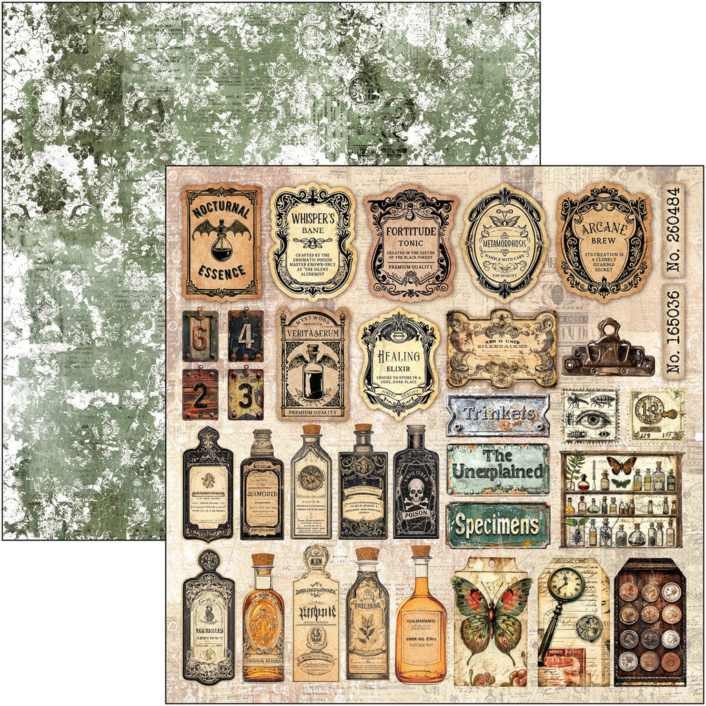 Cabinet Of Curiosities Paper Pad 12"x12" 12/Pkg