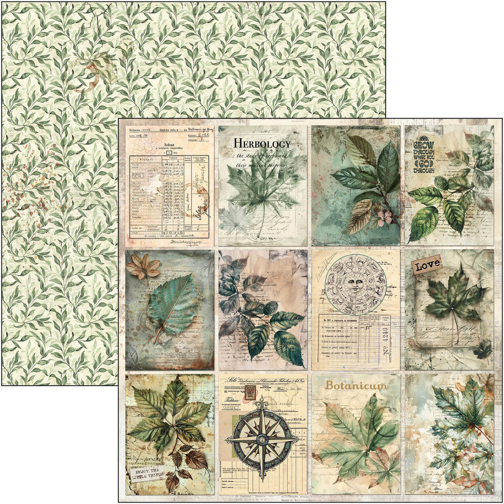 Cabinet Of Curiosities Paper Pad 12"x12" 12/Pkg