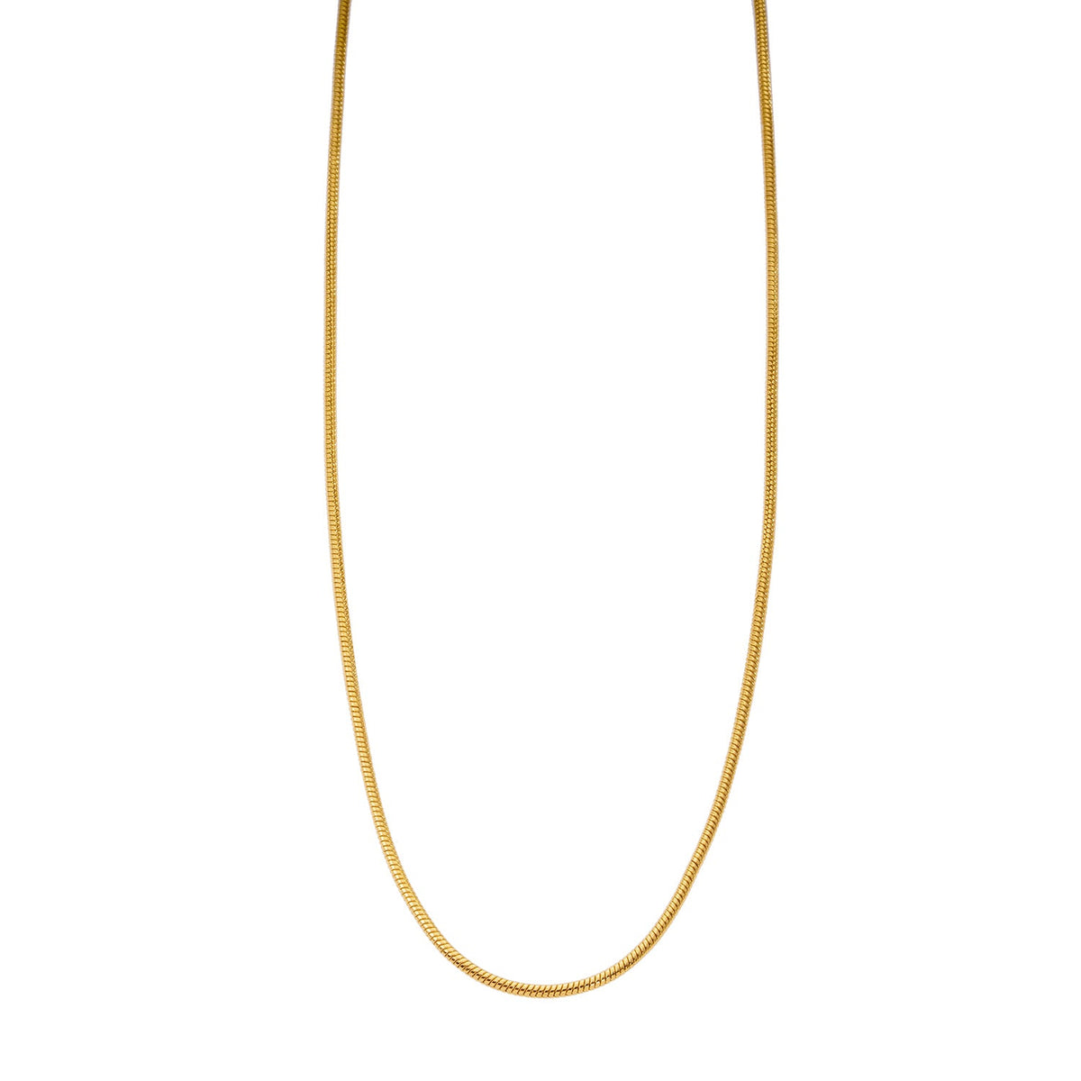 CHASTITY: Dainty Snake Skin Textured Gold Chain Necklace