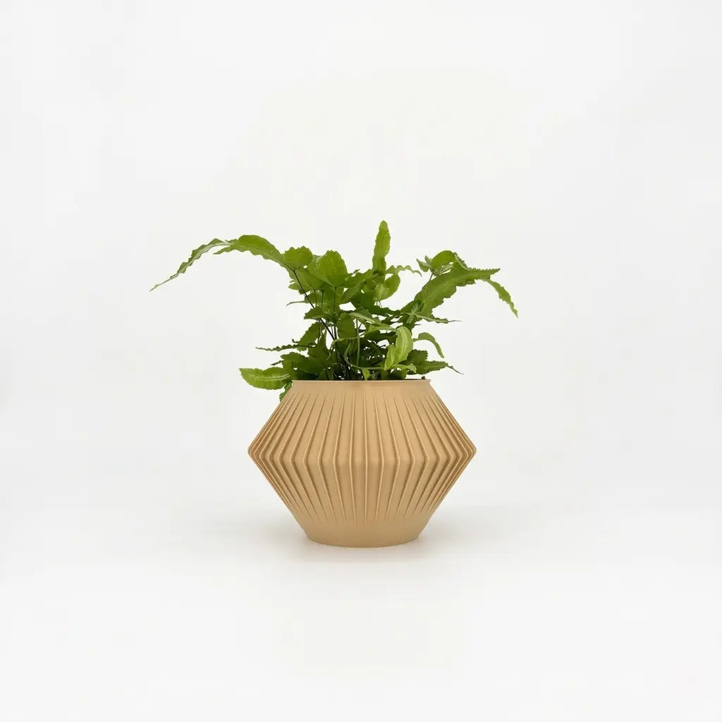 CHUNJI Planter