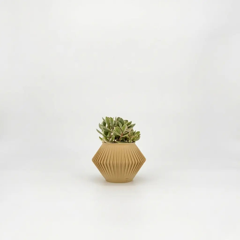 CHUNJI Planter