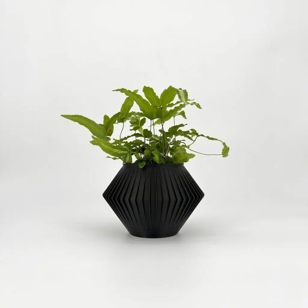 CHUNJI Planter