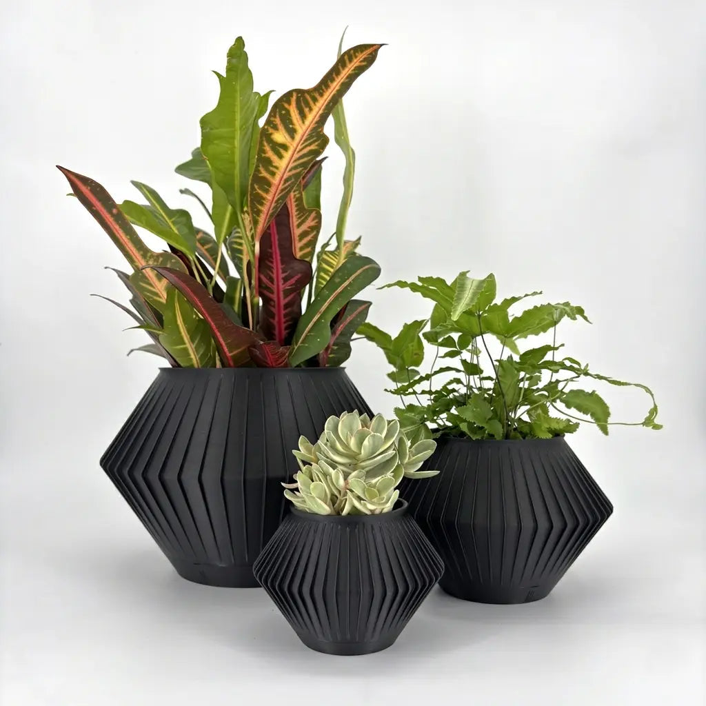 CHUNJI Planter