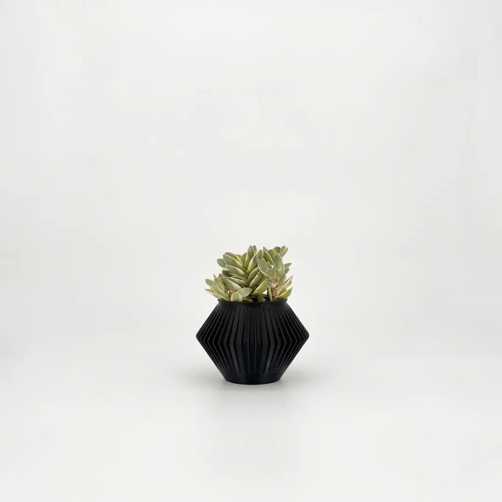 CHUNJI Planter