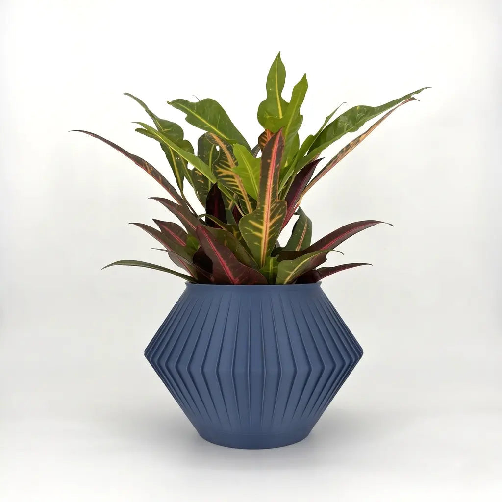 CHUNJI Planter