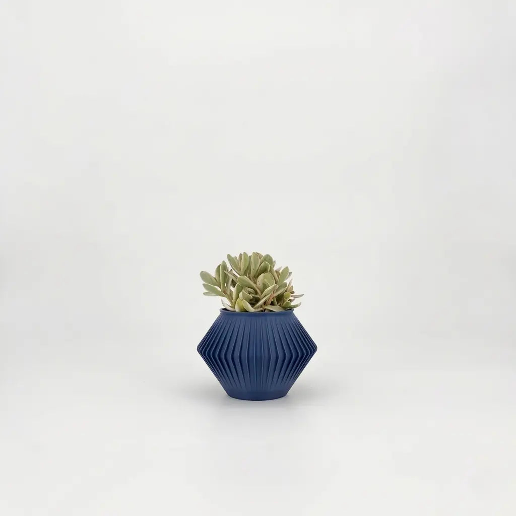 CHUNJI Planter