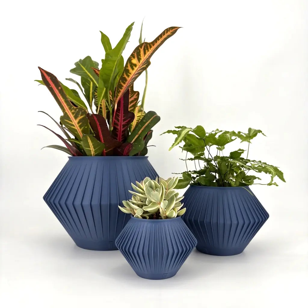 CHUNJI Planter