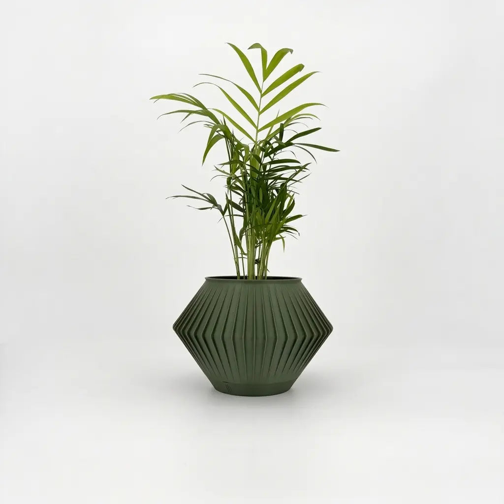 CHUNJI Planter