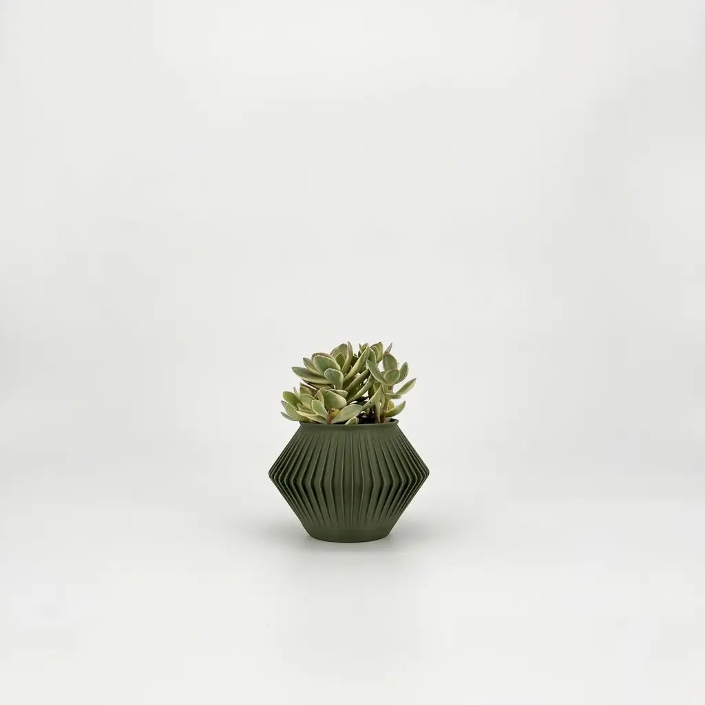 CHUNJI Planter