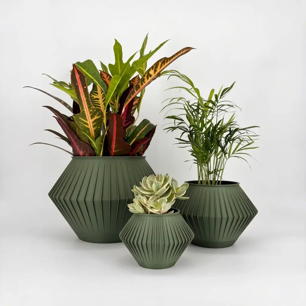 CHUNJI Planter