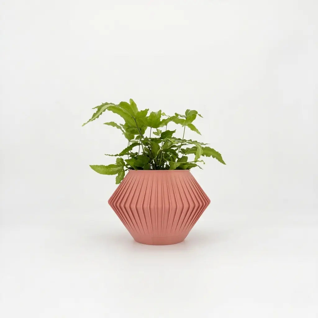 CHUNJI Planter