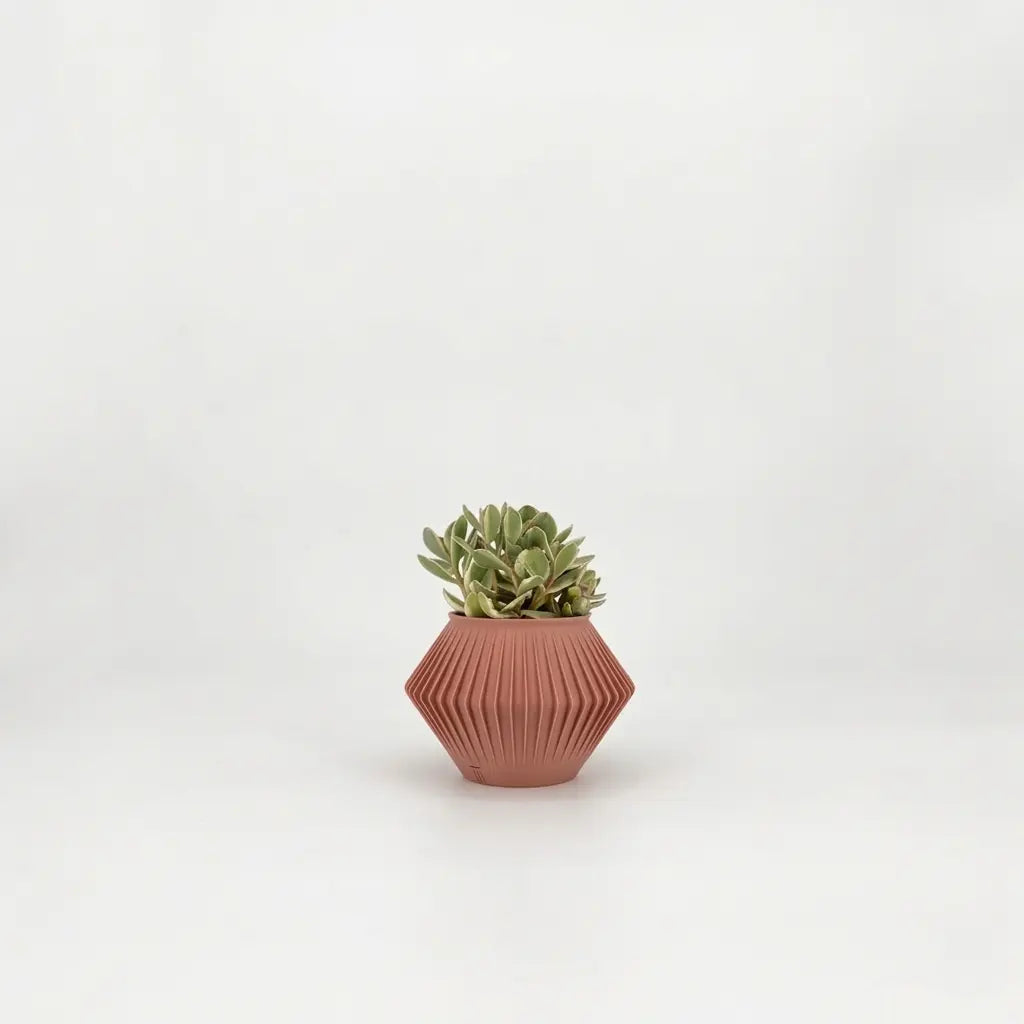 CHUNJI Planter