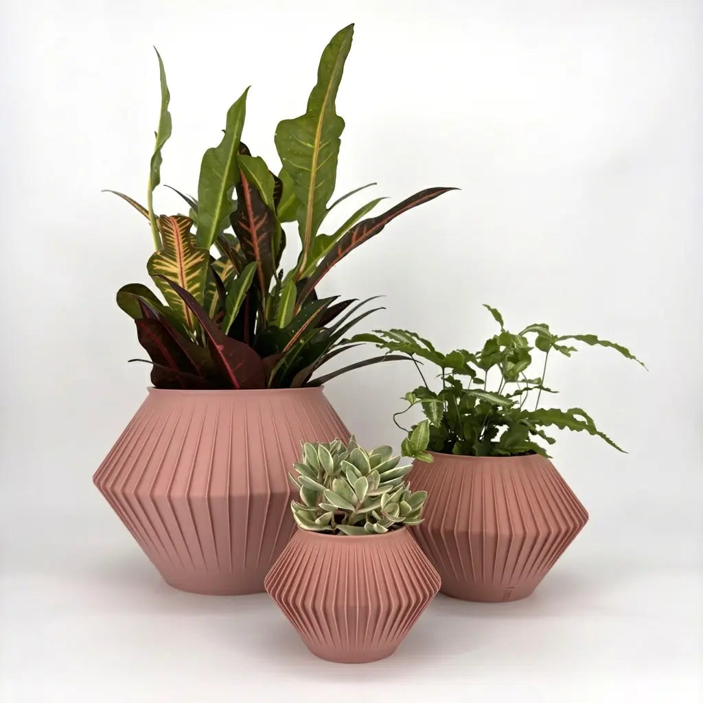 CHUNJI Planter