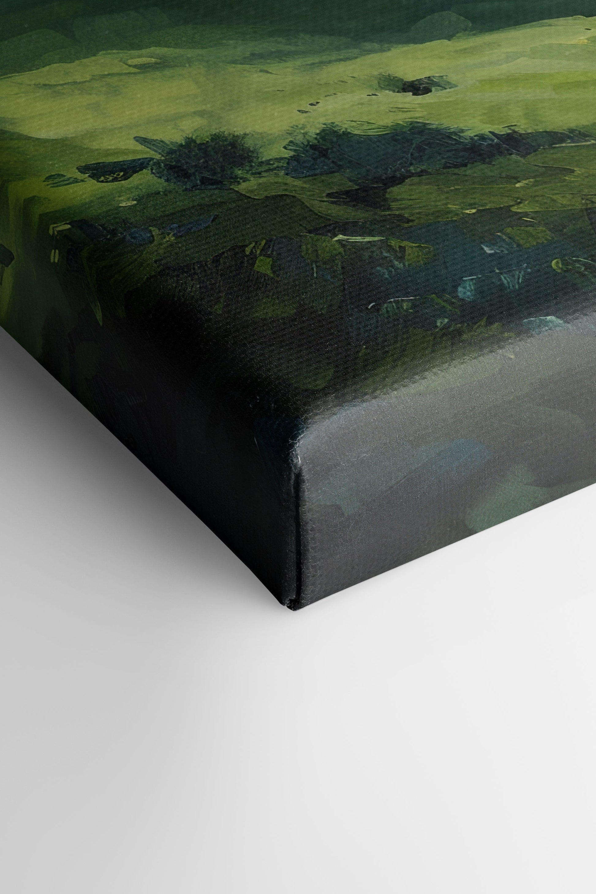 VENUS VALLEY, Stretched Canvas Artwork