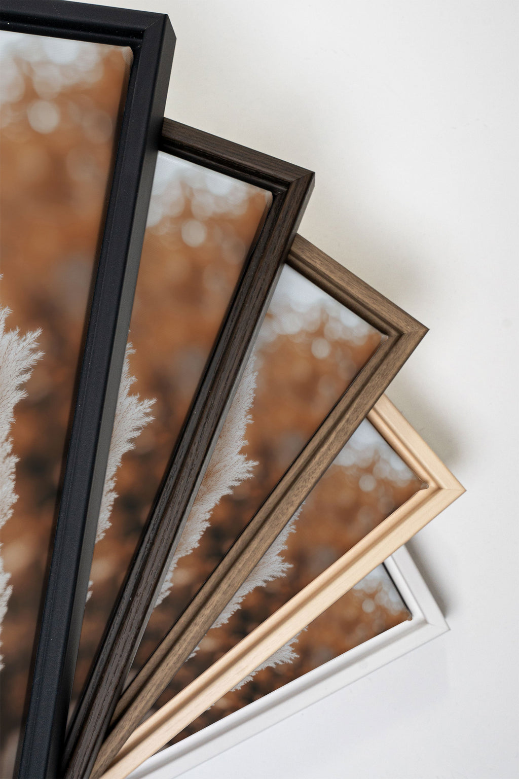 GOLDEN FEATHER, Stretched Canvas Artwork