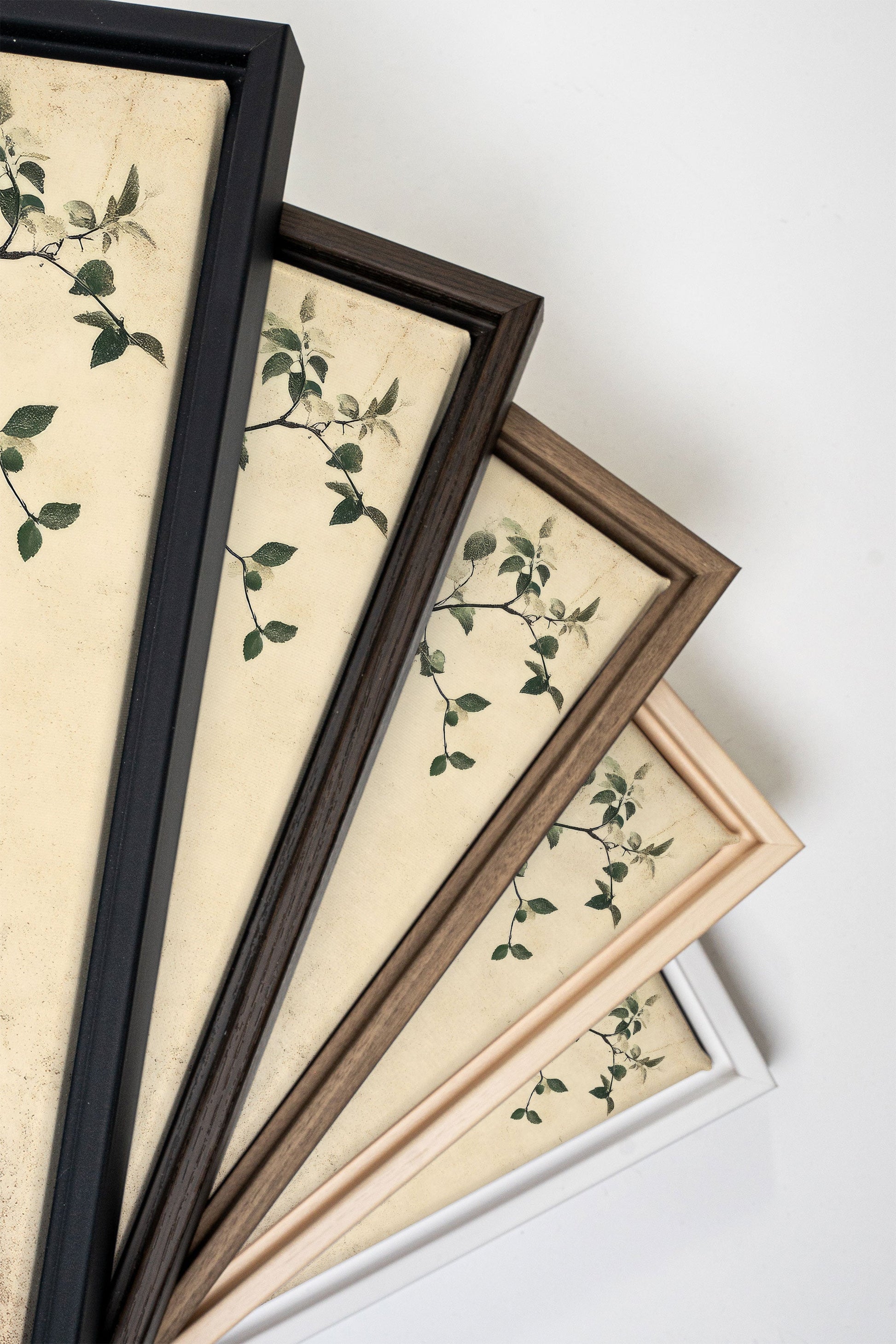 SILENT VINES, Stretched Canvas Artwork