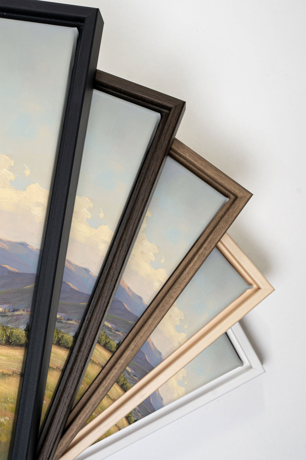 VALLEY OF LIGHT, Stretched Canvas Artwork