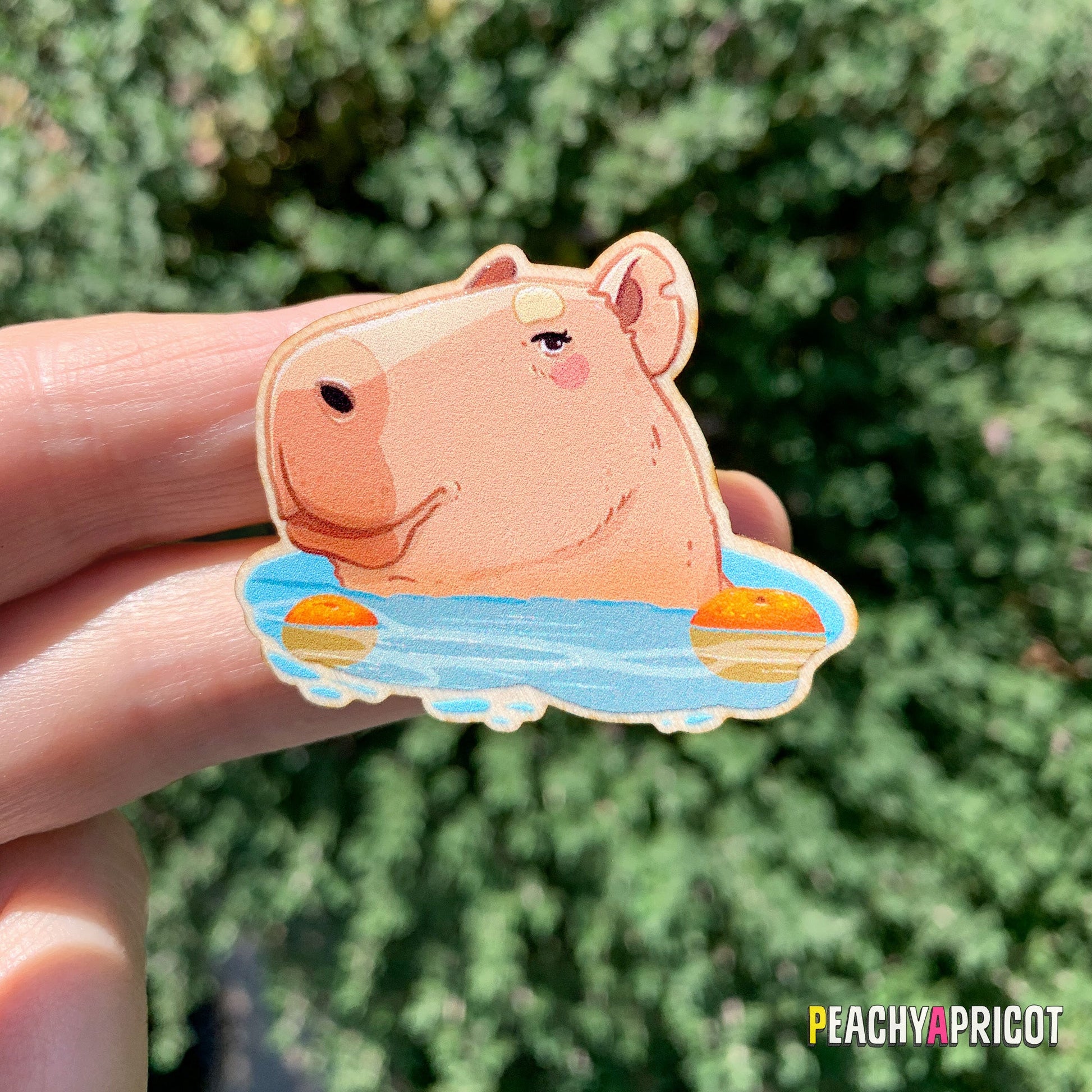 Épingle Capybara