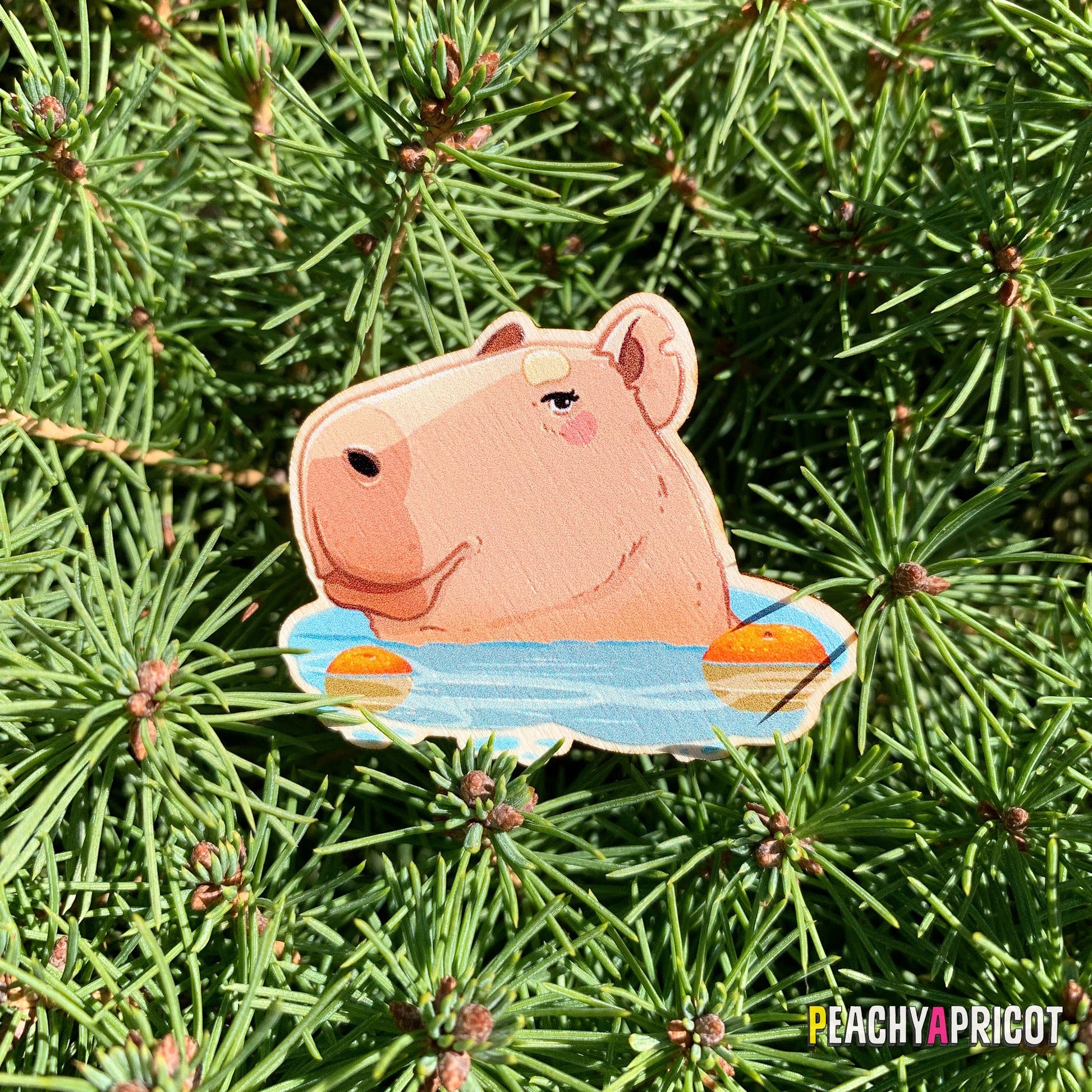 Épingle Capybara