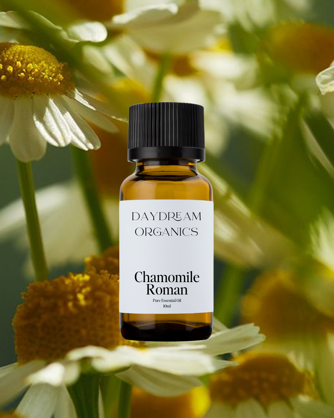 Chamomile (Roman) Essential Oil