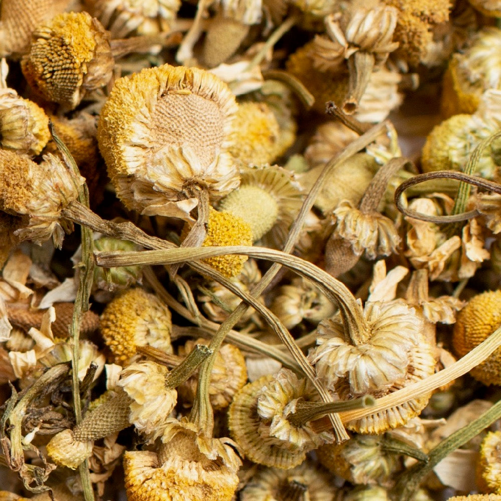 Organic Chamomile