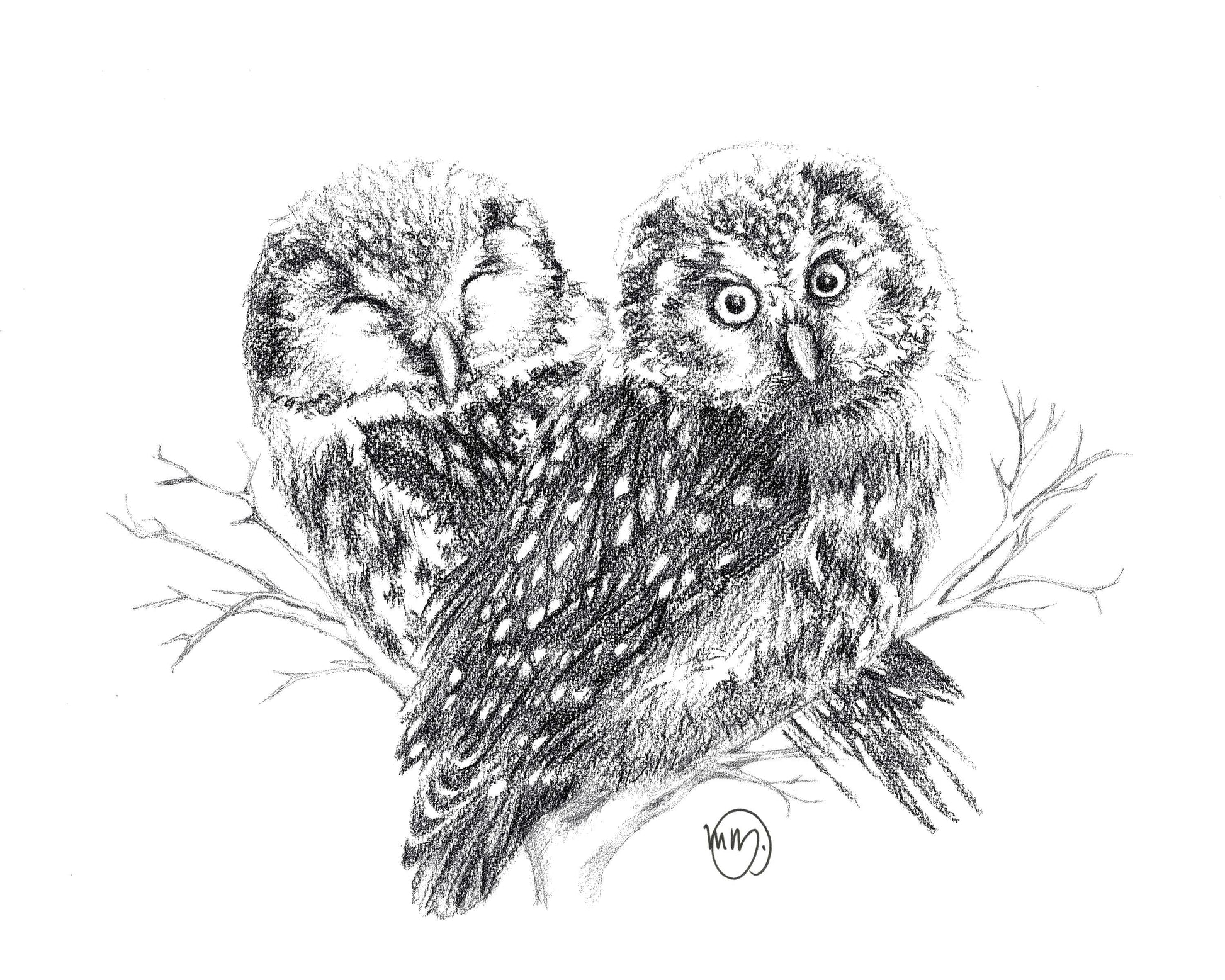 Owls in Love Greeting Card