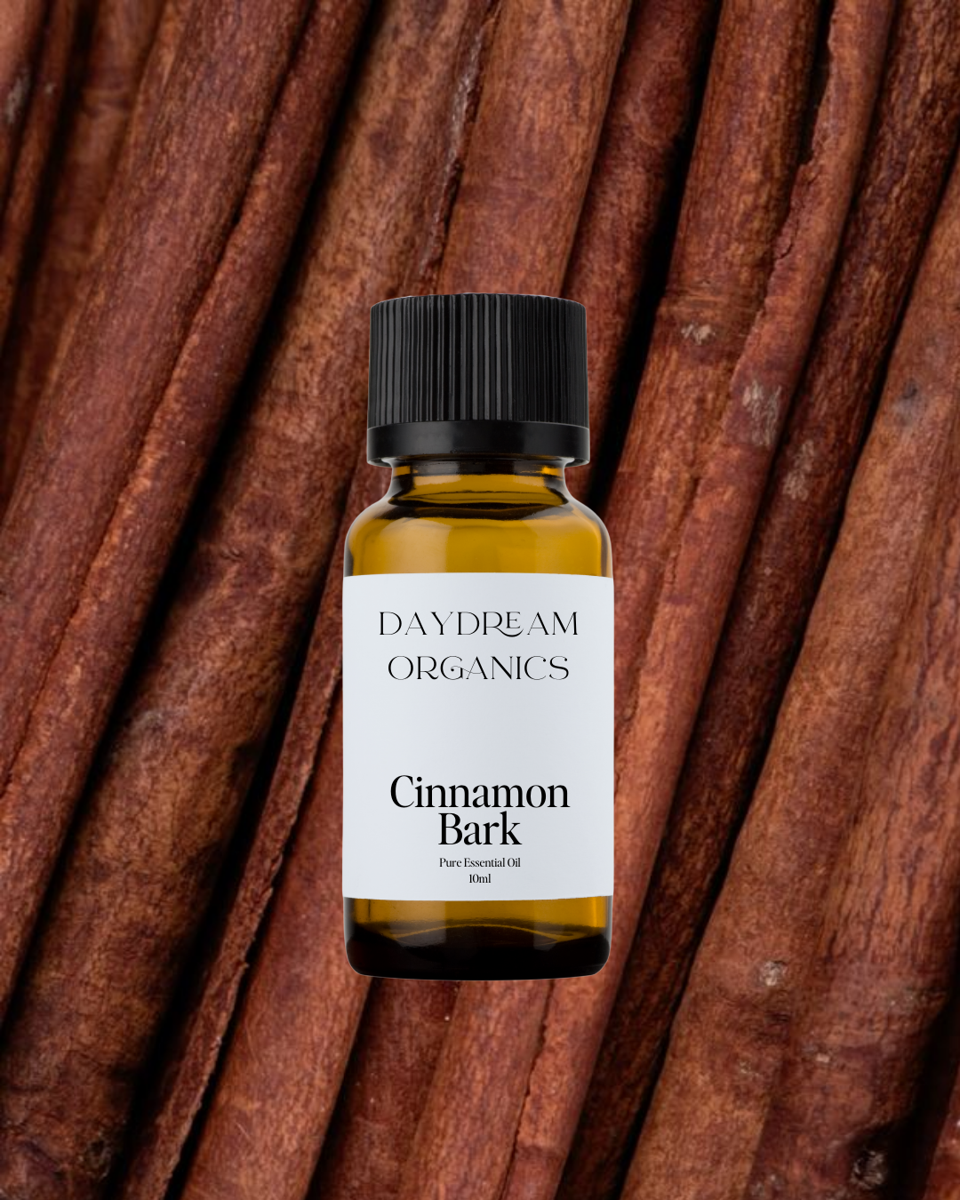 Cinnamon Bark Essential Oil