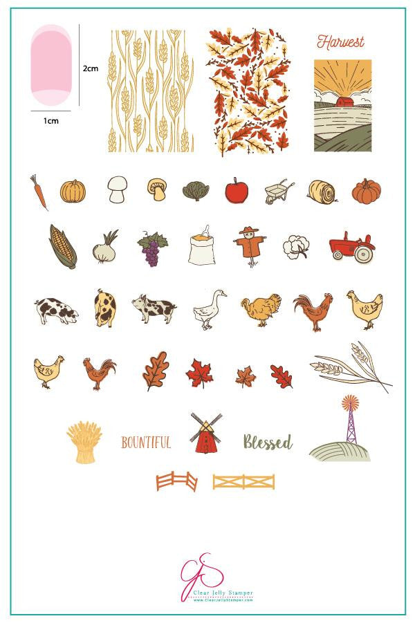 Clear Jelly Stamper - Harvest