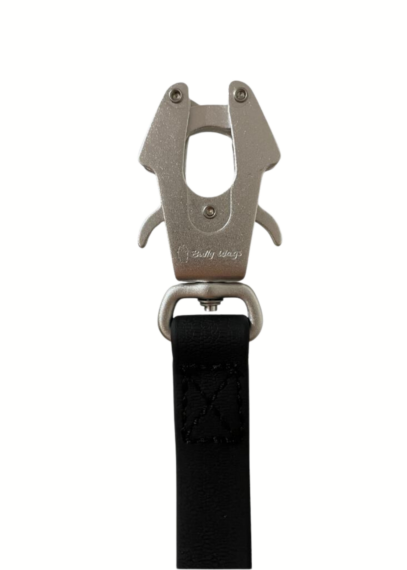 Laisse pour chien en PVC imperméable