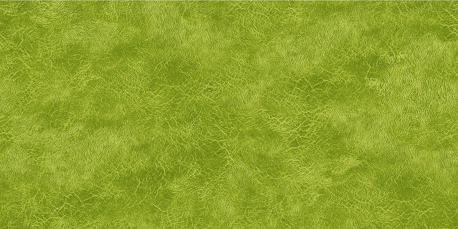 Oasis Fabrics - Crackle - 118" Wide Backing 18-47809 Verde 1m PRE-CUT