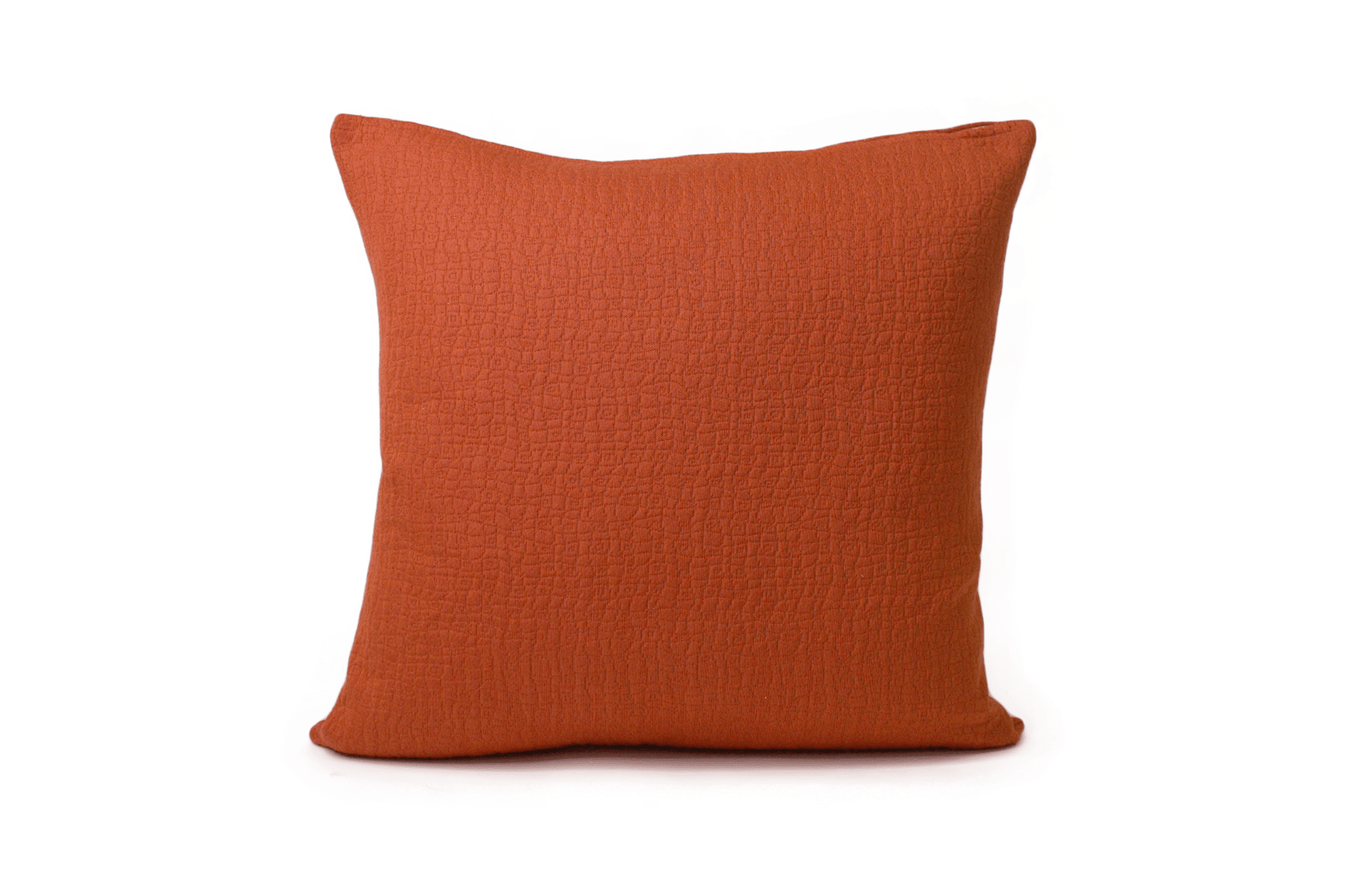 Cinnamon Cushion Cover