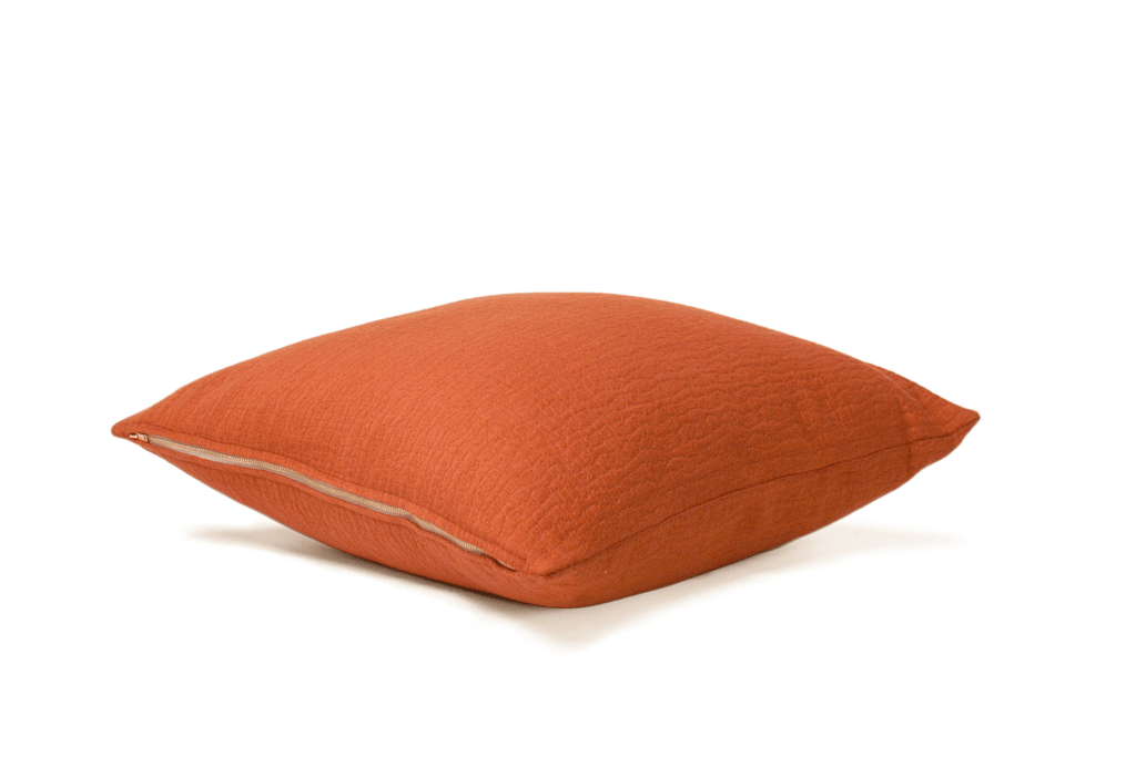 Housse de coussin à la cannelle