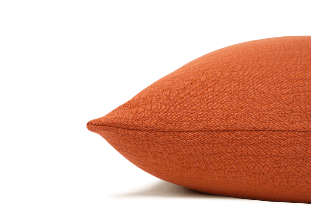 Housse de coussin à la cannelle